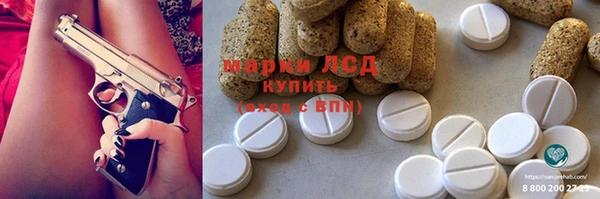 шишки Новокубанск