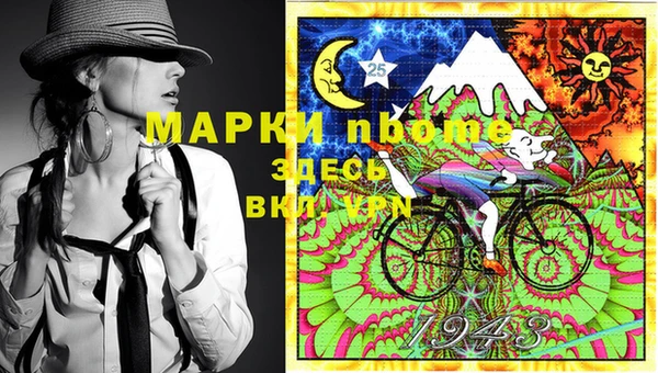 шишки Новокубанск