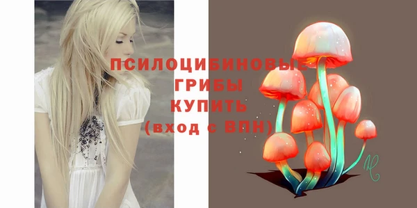 mdma Новозыбков