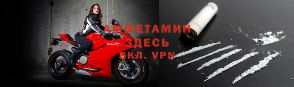 шишки Новокубанск