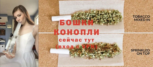 ГАЛЛЮЦИНОГЕННЫЕ ГРИБЫ Новодвинск