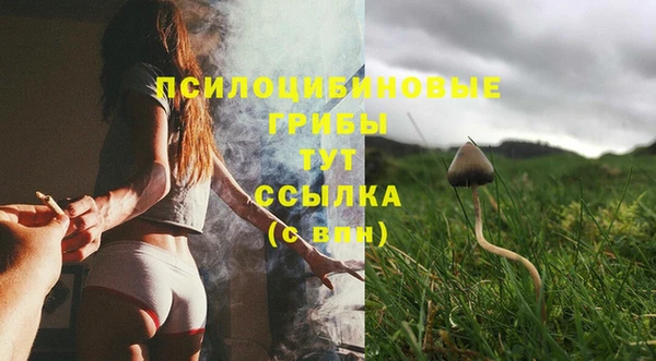 ГАЛЛЮЦИНОГЕННЫЕ ГРИБЫ Новодвинск