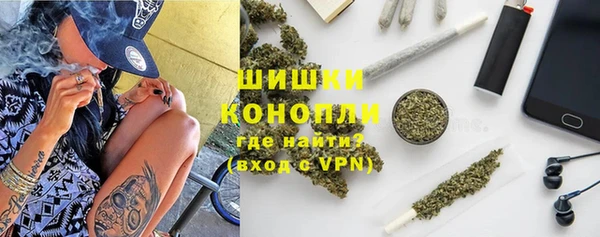 шишки Новокубанск