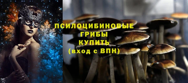 шишки Новокубанск