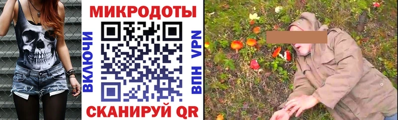Псилоцибиновые грибы Cubensis  Ревда 